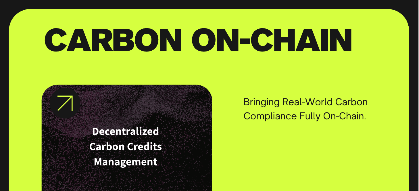 CarbonOnChain preview